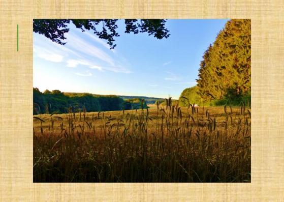 Gruenvogels Landgasthof Zum Gruenen Baum Oberzent Exterior photo